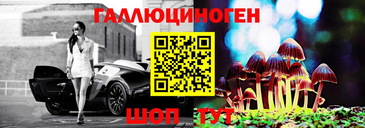 Псилоцибиновые грибы Psilocybine cubensis Тосно