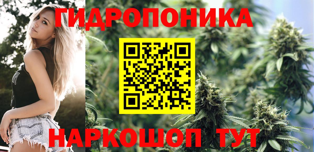 Марихуана марихуана Тосно